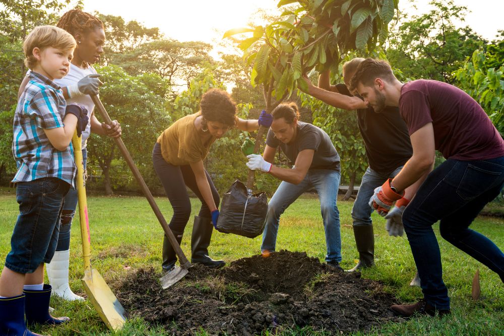 A group of adults and children plant a tree in the sunshine