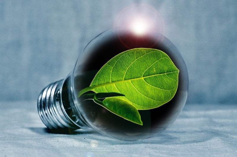 Eco ideas image