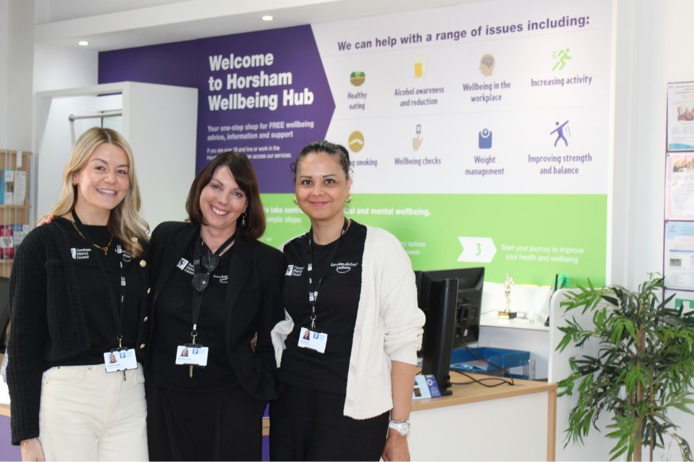 Wellbeing showcases services to healthcare professionals 