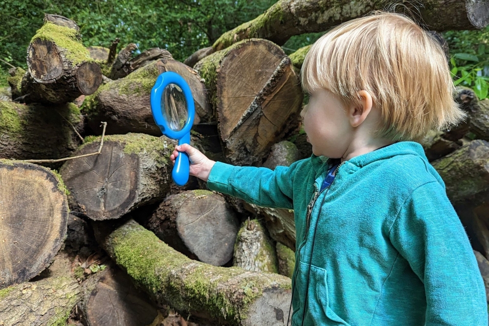 biodiversity_boy by woodpile