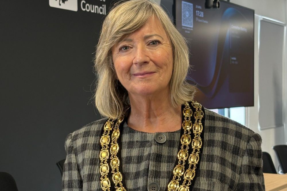 Chair of Horsham District Council Joanne Knowles