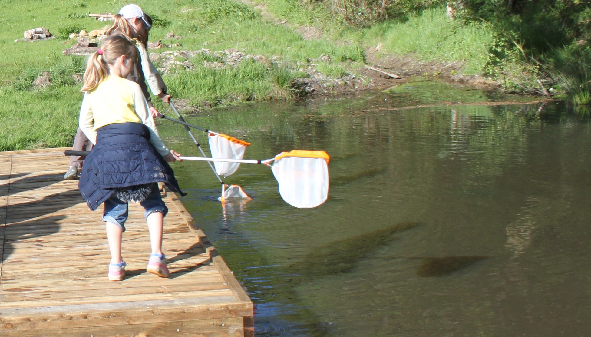 Pond Dipping at Warnham