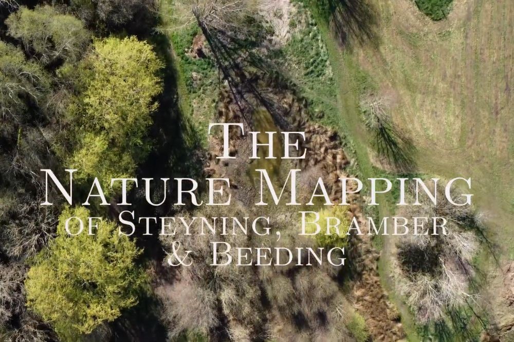Greening Steyning Nature mapping image