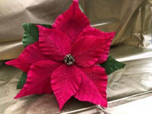 Poinsetta