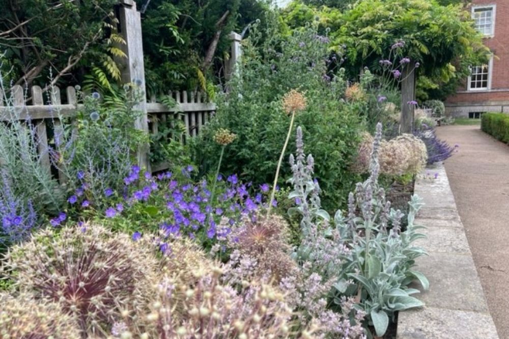 Raised Bed in Horsham Park's Sensory Garden