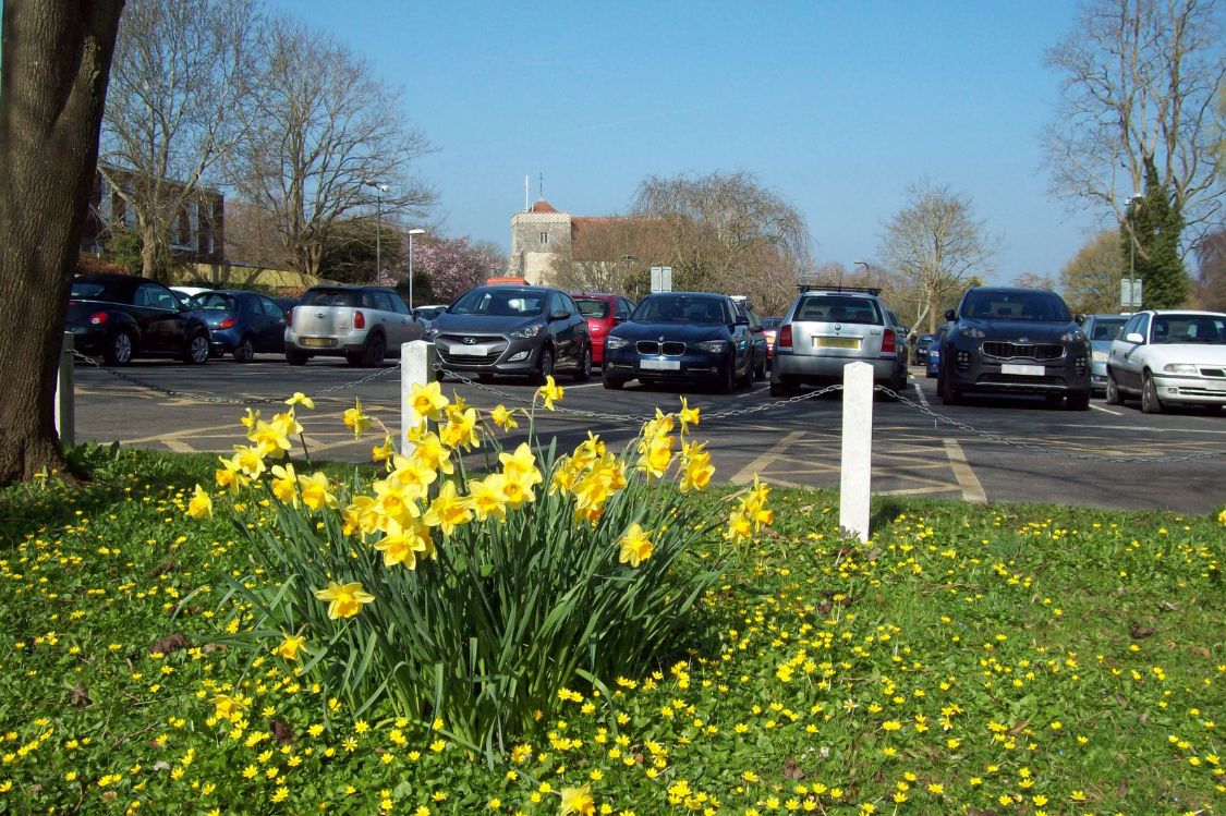 Digital annual parking discs 