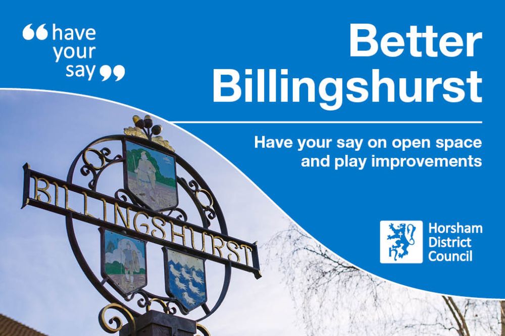 Better Billingshurst Play Consultation