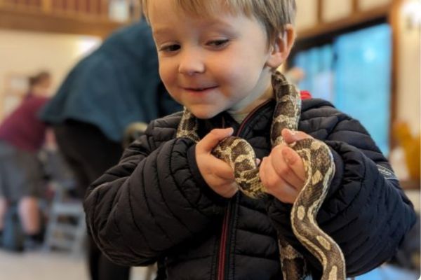 Animal Encounters - 'Under Camouflage
