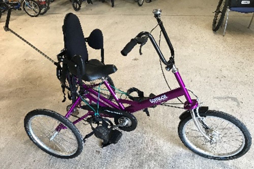 A purple Tomcat trike with full seat and harness