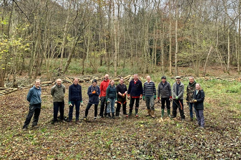 SWT and volunteers rewild woodland North of Horsham