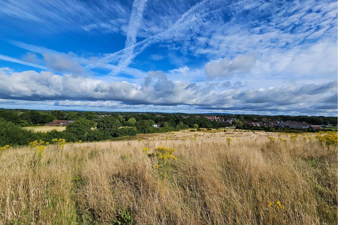 Highwood Hill Habitat Bank