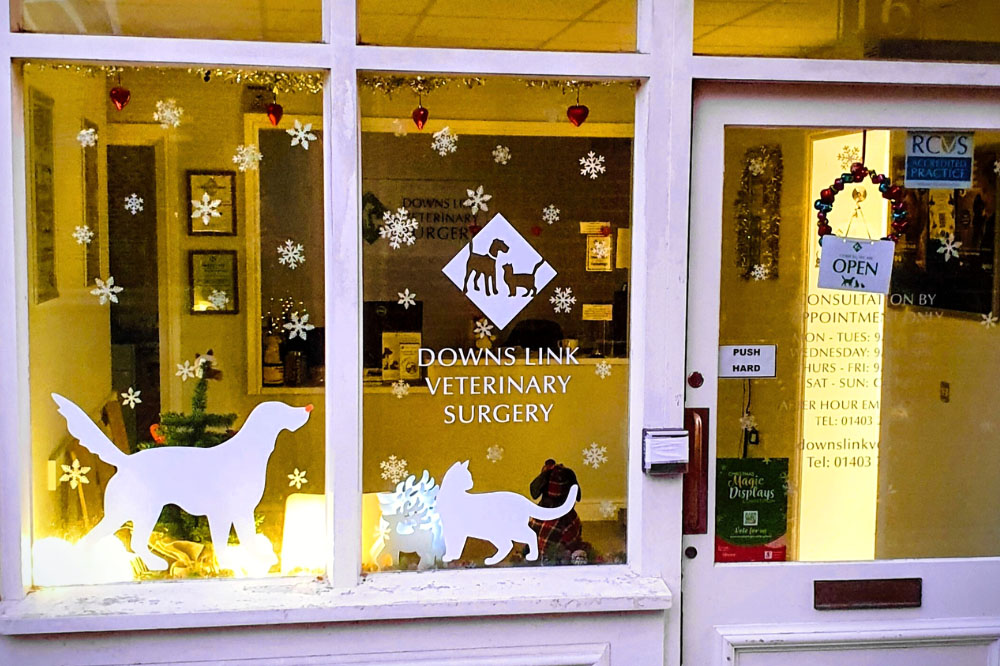 Downs Link Vets window display