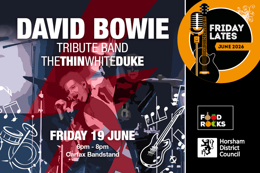 The Thin White Duke