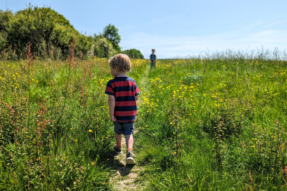 children walk in the field
