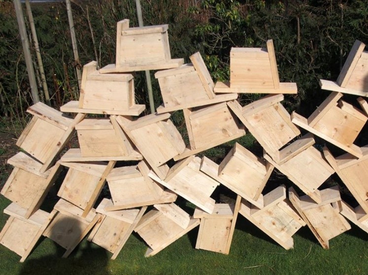 Bird Boxes