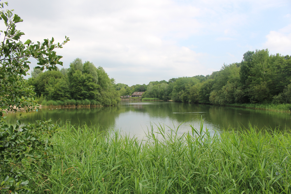 View from the bridge in Southwater Country Park