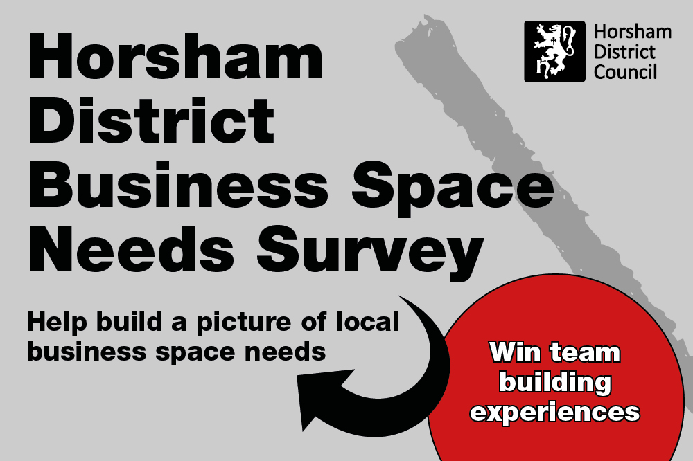Horsham District business needs survey