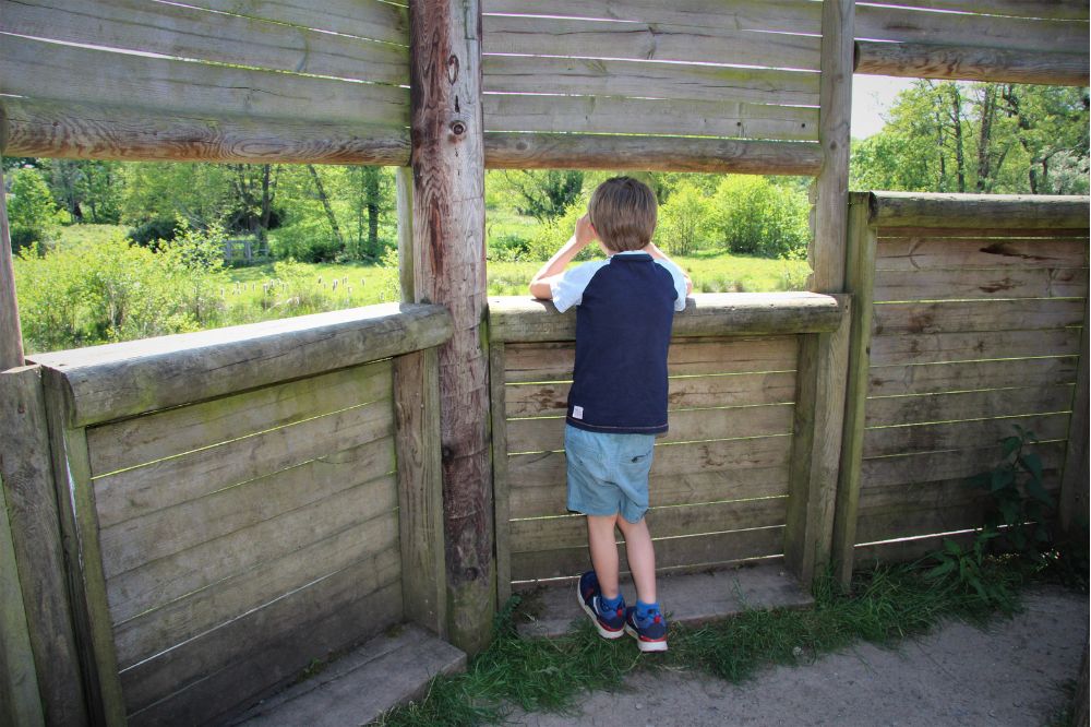 watching for wildlife at Chesworth