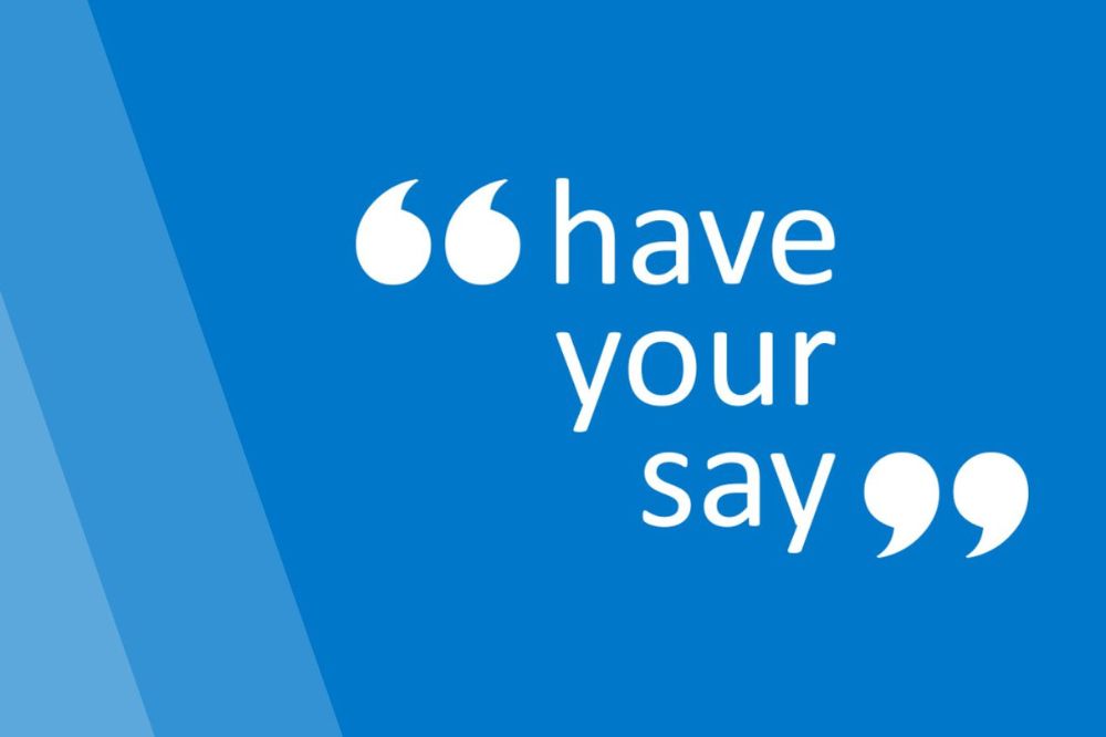 Have Your Say Graphic