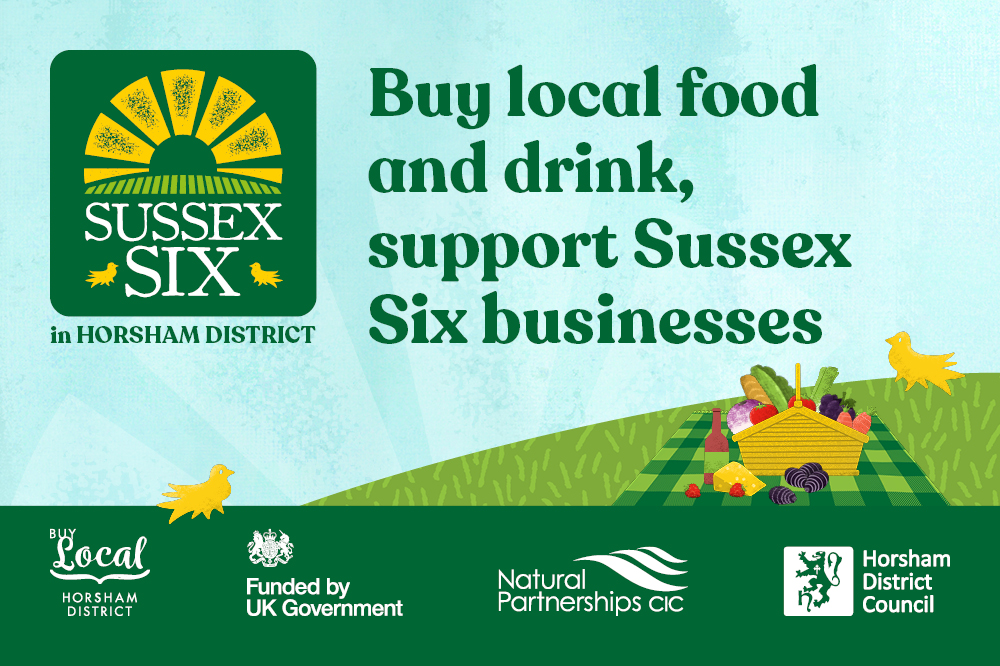 Sussex Six Leaflet Graphic