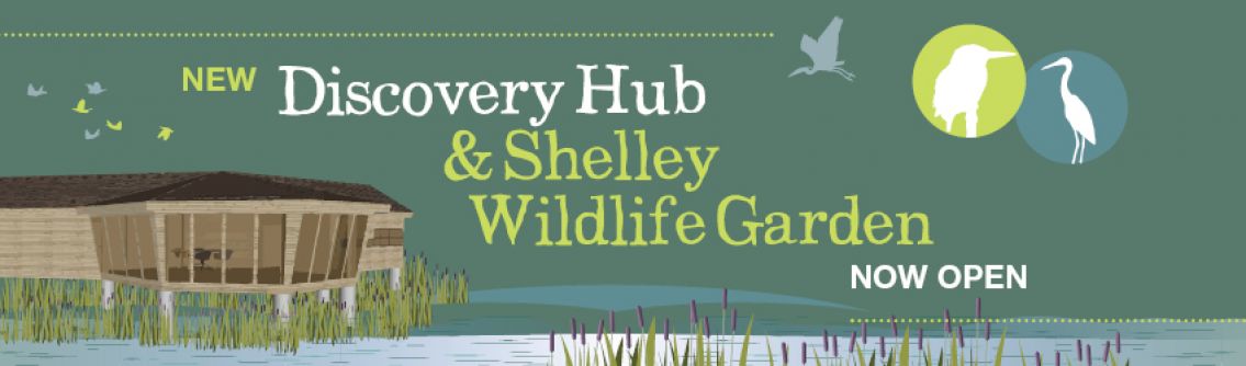 Warnham Local Nature Reserve Discovery Hub and Shelley Wildlife Garden