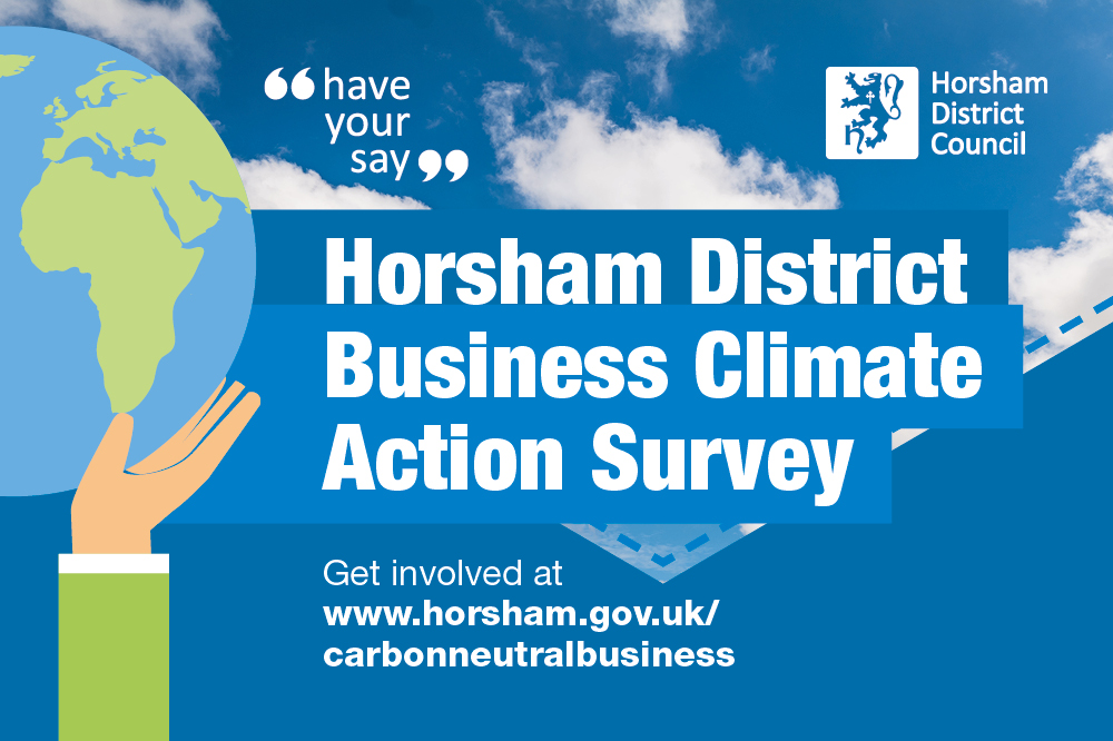 Horsham District Business Climate Action Survey