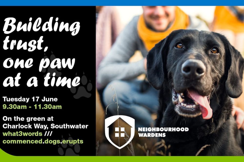 Dog Behaviour Classes