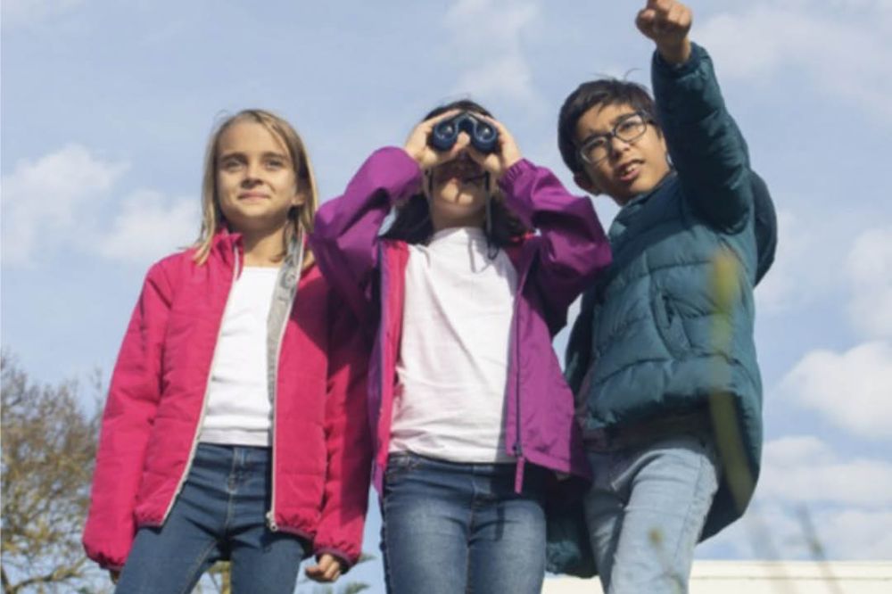 Bird Watching in Horsham Park