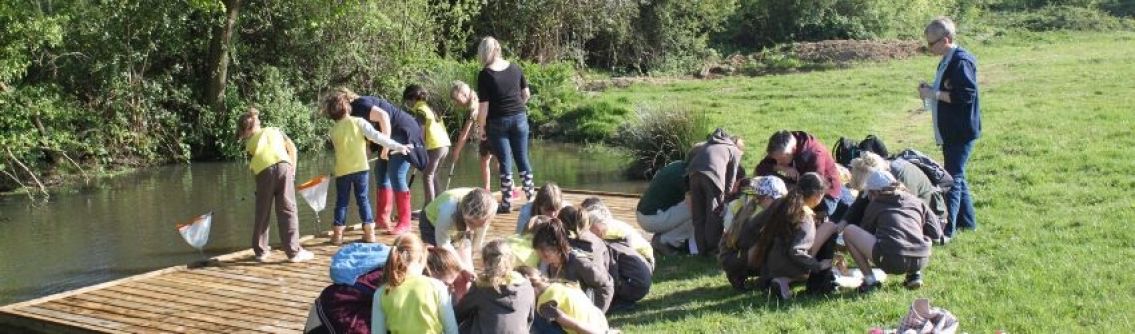 A group of brownies at Chesworth Farm