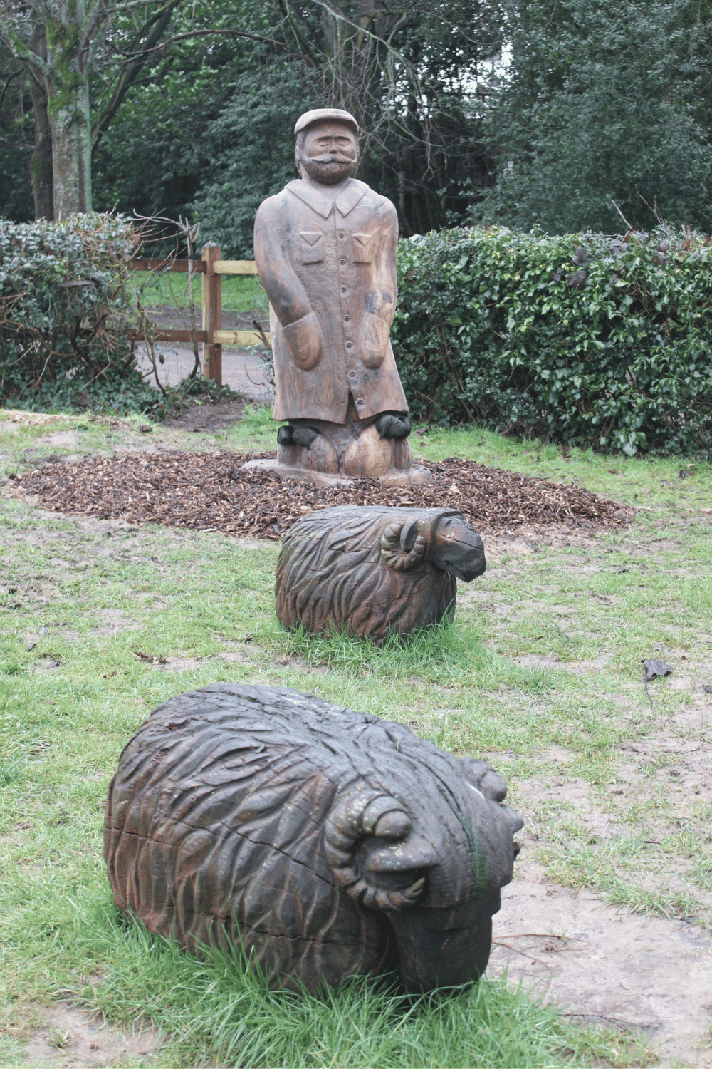 New shepard in the Human Nature Garden with his sheep