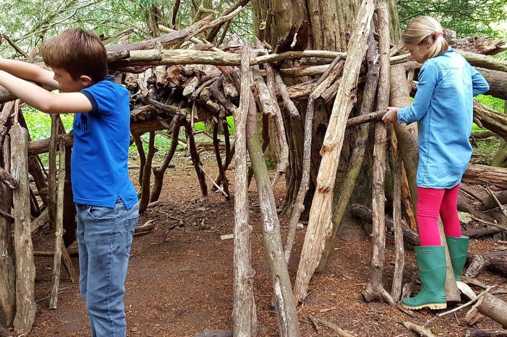Den building at Leechpool woods