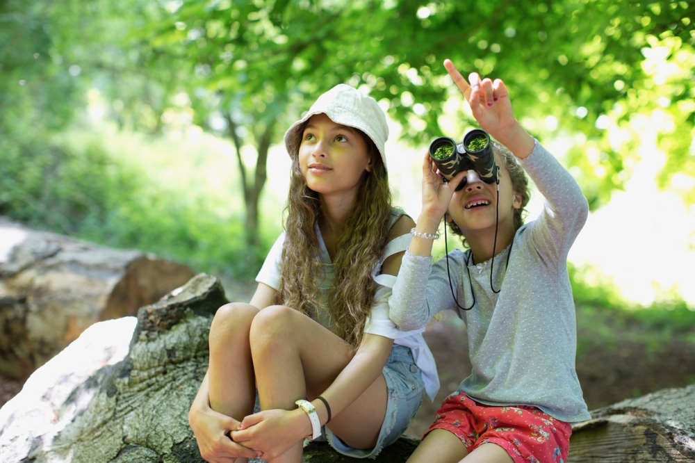 Sussex Tree Festival image