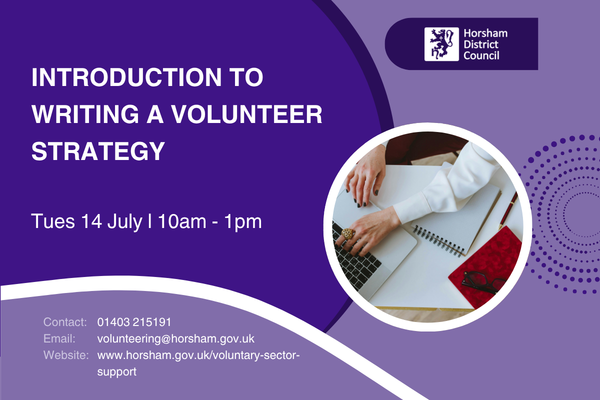 Introduction to Writing a Volunteer Strategy 14 July 10am -1pm