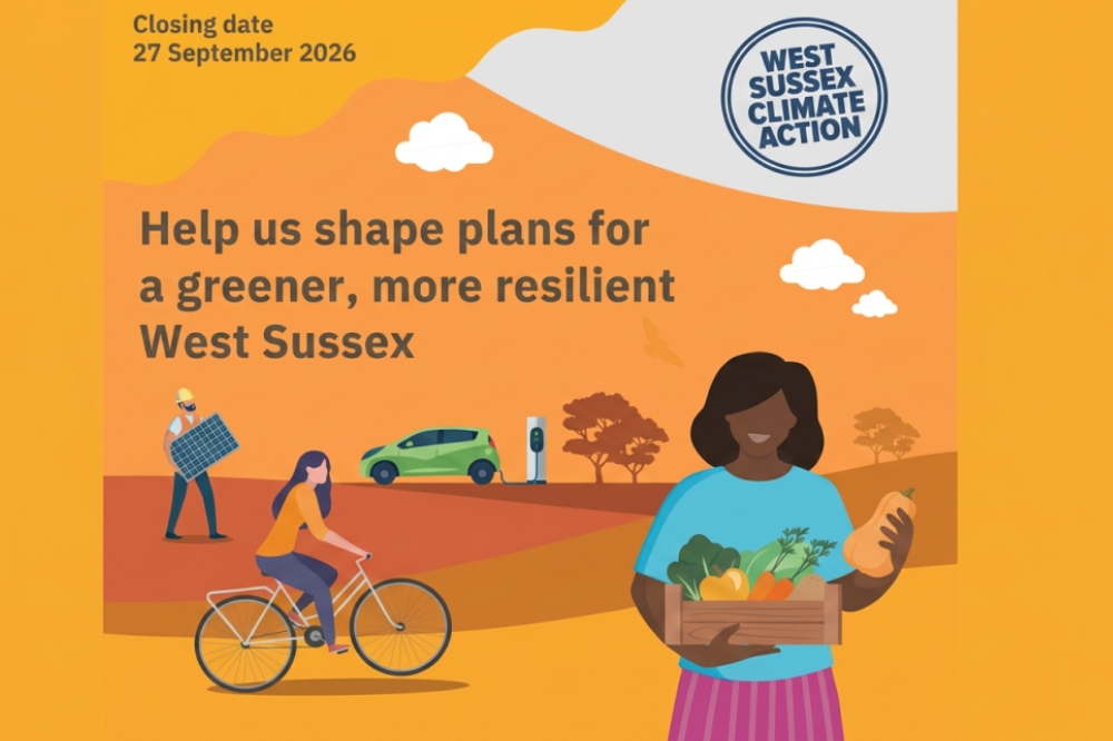 Climate action survey image