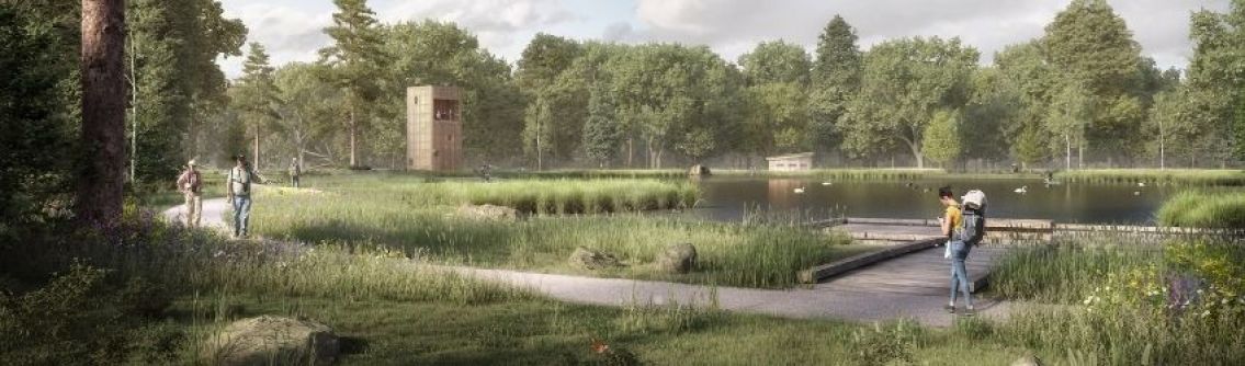 A concept image of Rookwood Horsham. This image is for illustrative purposes only and shows local wildflowers and butterflies, open paths next to a lake and a lookout for birdwatchers