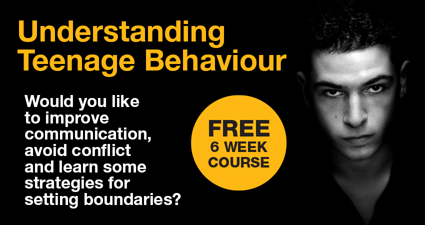 Understanding Teenage Behaviour course