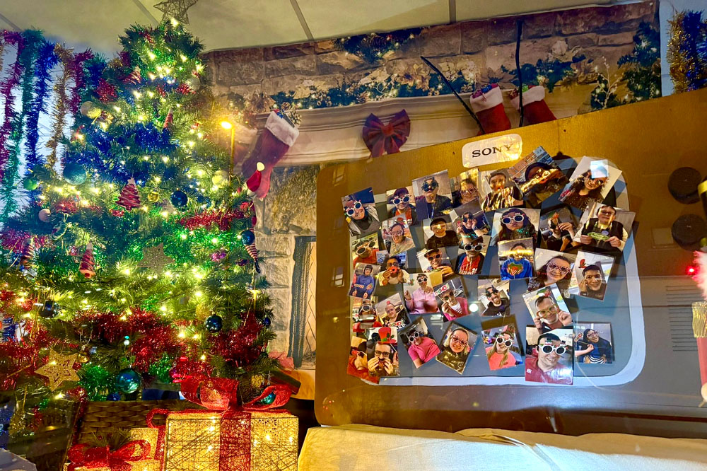 The Butterfly Project window display