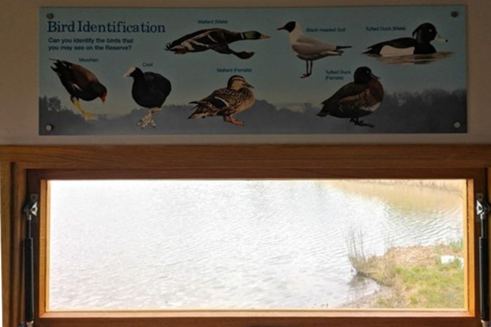 Bird hide window