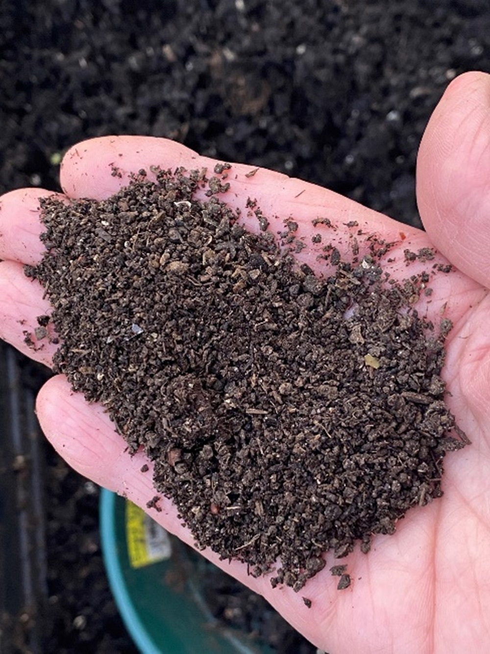 A handful of dry compost