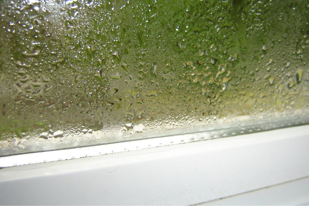 Condensation on window