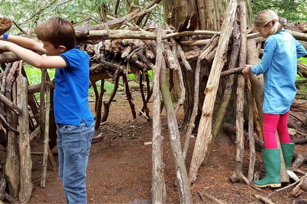 Den building