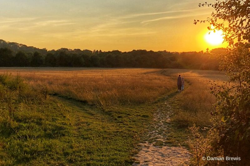 A sunset walk over meadow and grassland at Chesworth Farm