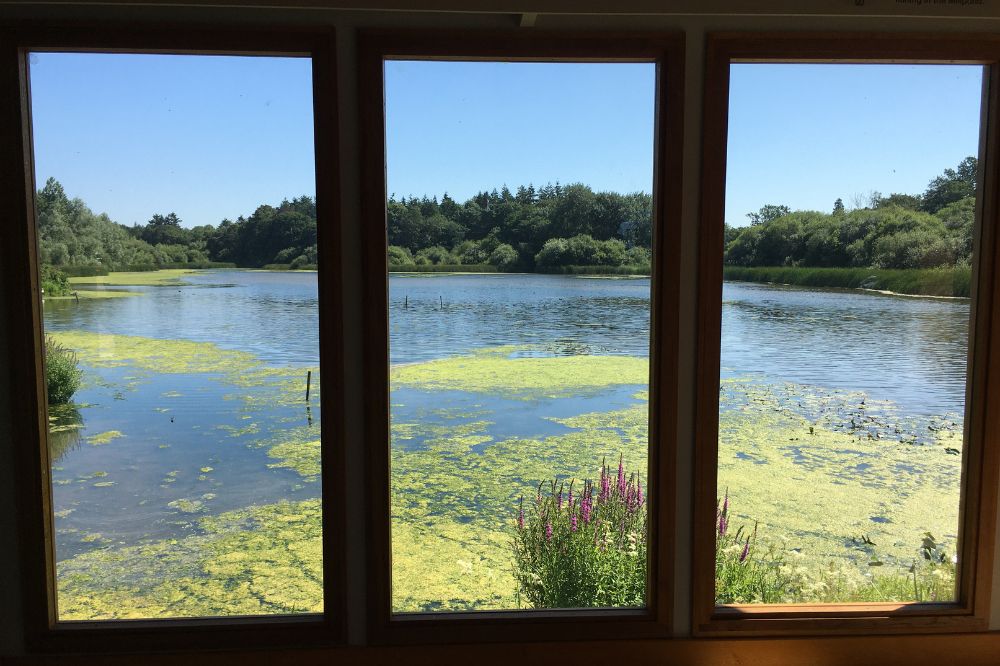 The view from the Hub facing out over the Millpond