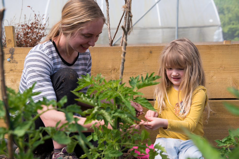 Rock farm sustainable growing project