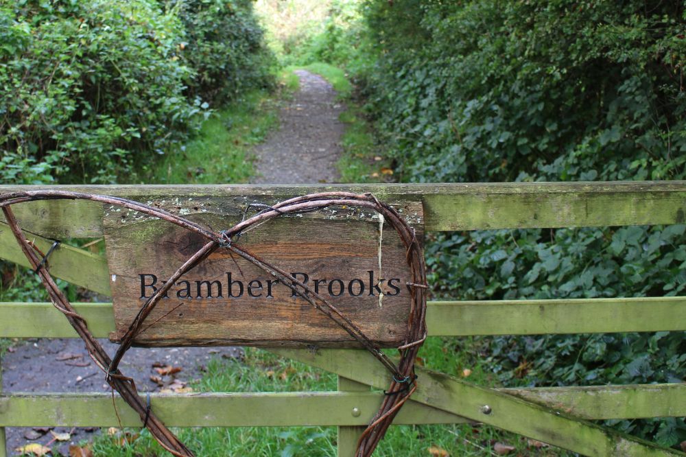 Bramber Brooks gate