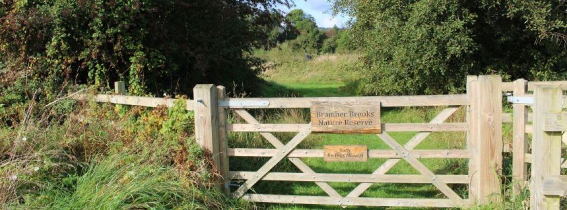 Bramber Brooks Nature Reserve