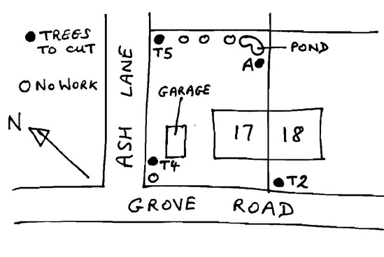 Example of a sketch plan identifying trees