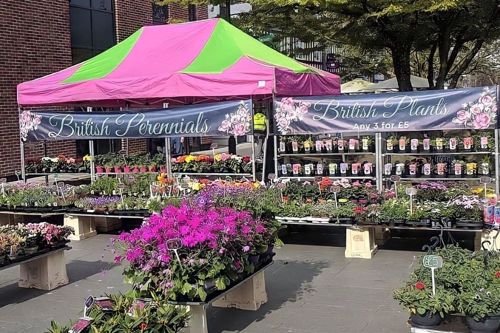 West Street Entrepreneurs Market