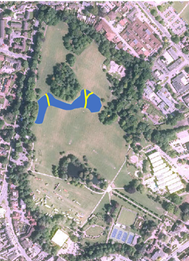 Meadow Area in Horsham Park