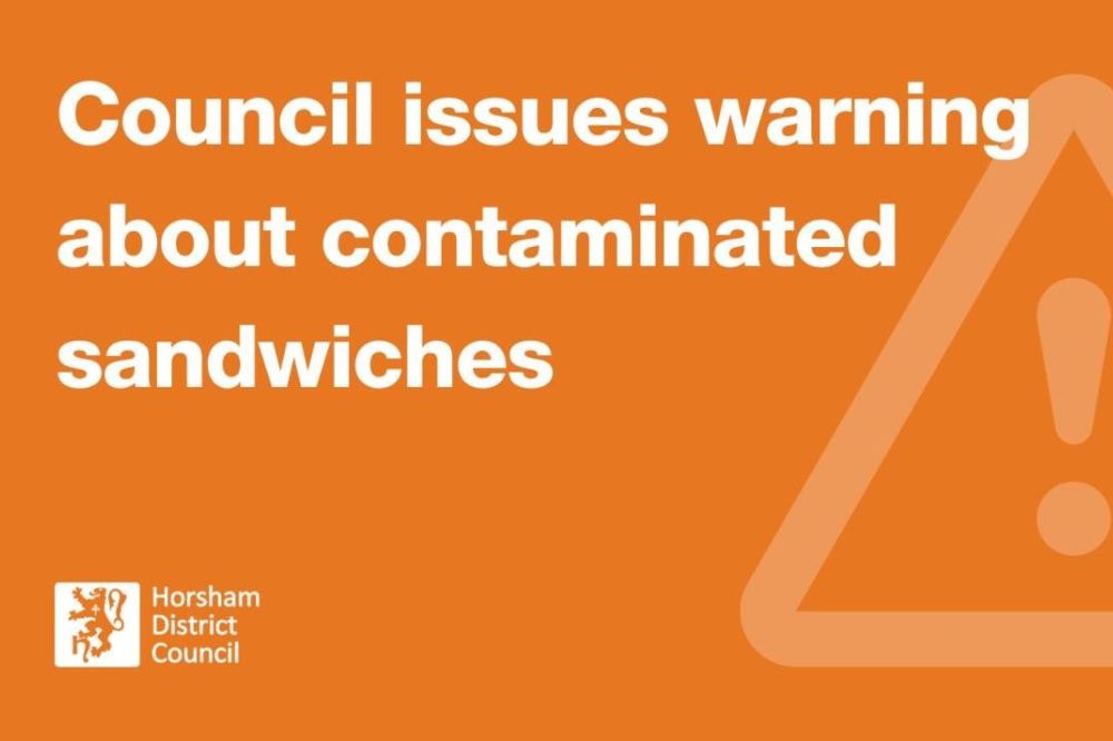 Food poisoning bacteria in packaged sandwiches